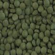 sera plankton tabs imagem