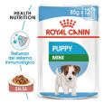 royal puppy mini