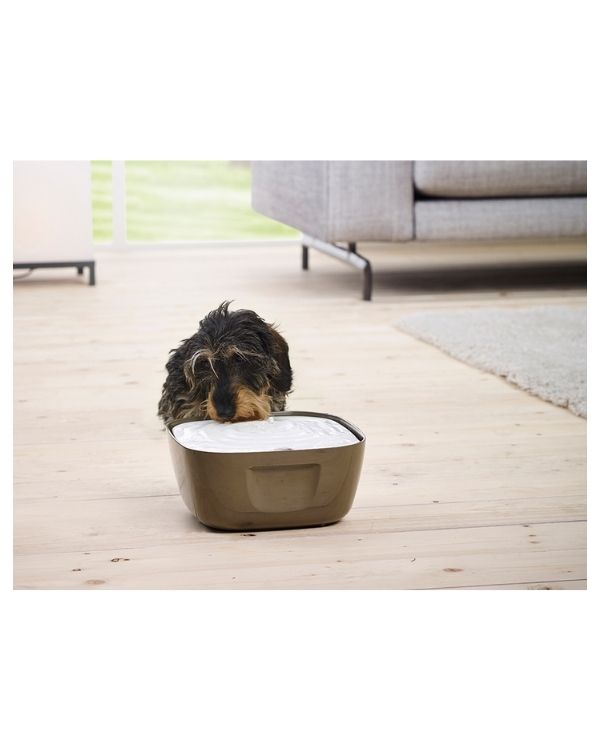 O bebedouro Volcano com capacidade para 2,5L é ideal para todos os cães e gatos. Também é recomendado por veterinários.