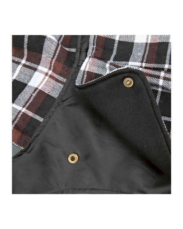 Capa Paris Preto 5
