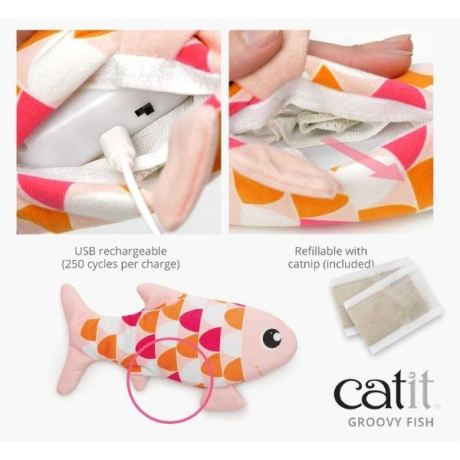 Banner Bateria Groovy Fish