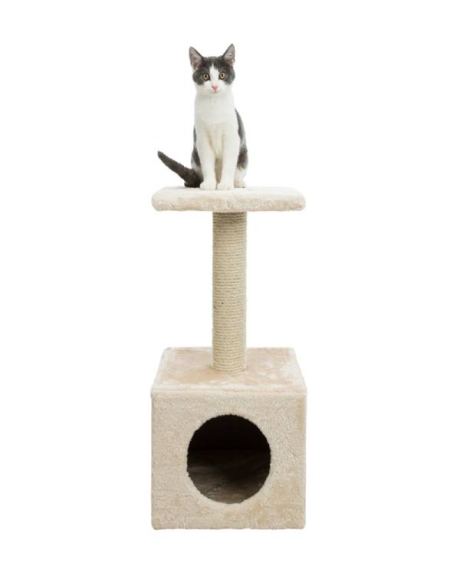 arranhador junior gato
