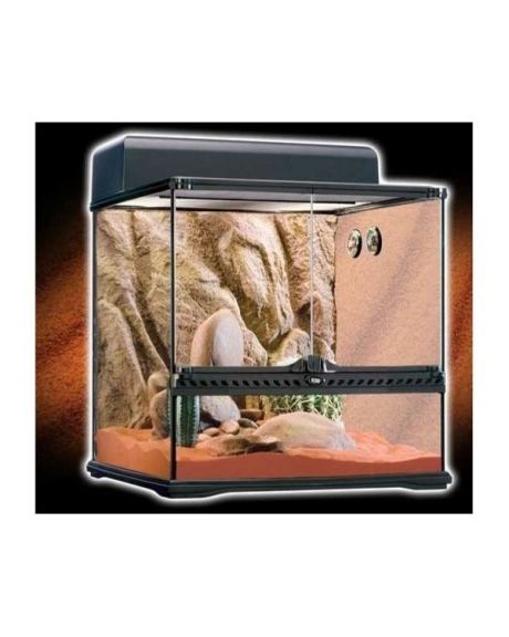 Kit Terrário Desértico Exo Terra grande