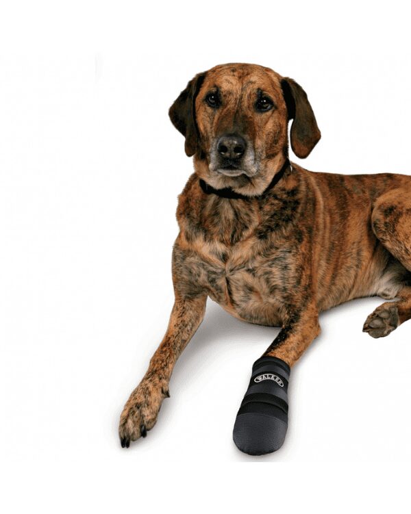 botas protetoras trixie cão