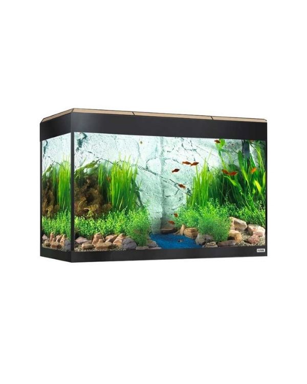 Fluval Roma 125L Carvalho