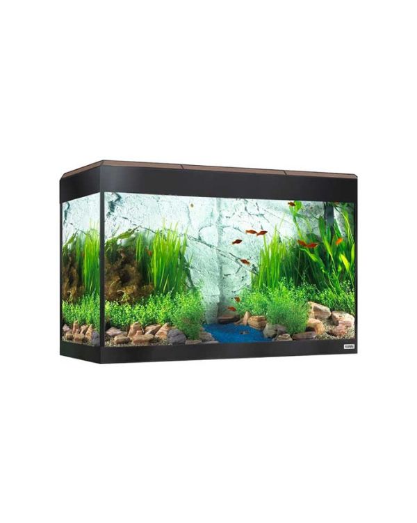 Os Fluval Roma 125L c/Iluminação Led Bluetooth incluí agora uma eficiente iluminação LED de baixo consumo com Bluetooth.