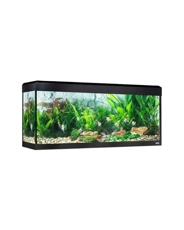 Os Fluval Roma 240L c/Iluminação Led Bluetooth incluí agora uma eficiente iluminação LED de baixo consumo com Bluetooth.