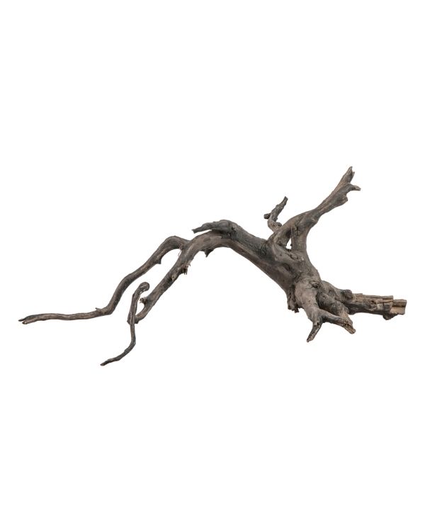 Raiz Sera Scaper Root S