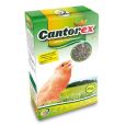 cantorex canto aves (1)