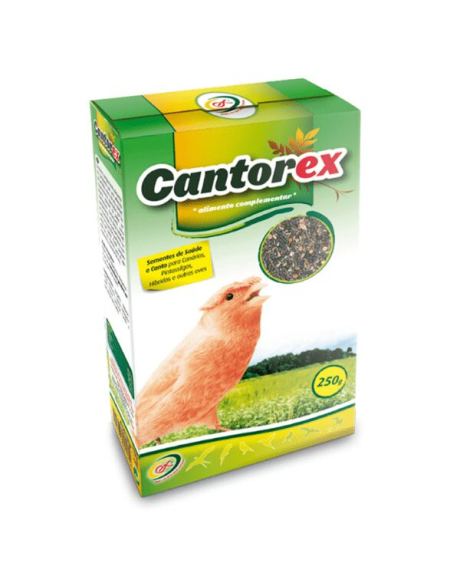 cantorex canto aves (1)