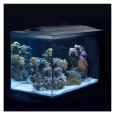 Aquário Marino Fluval Evo