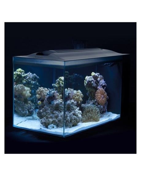 Aquário Marino Fluval Evo