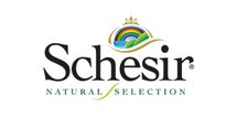 Schesir