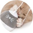 Gato com Catit PIXI Spinner