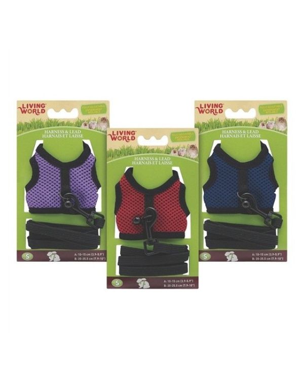 Arnés Confort Living world