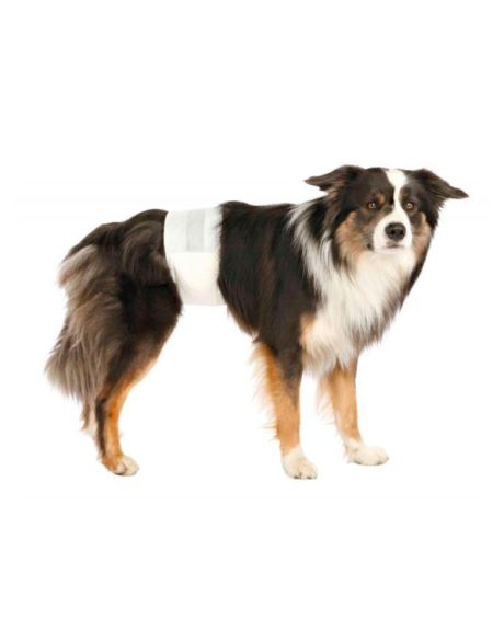 Fraldas Descartáveis para Cão 12und cão