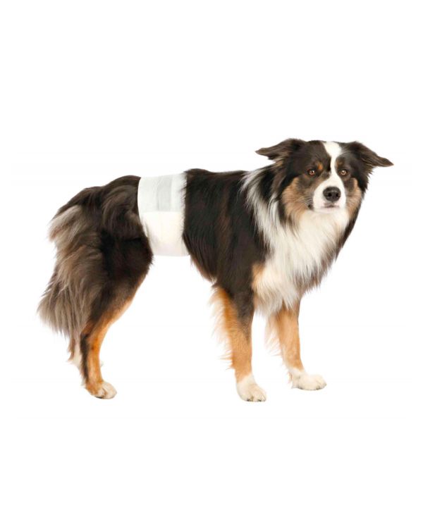 Fraldas Descartáveis para Cão 12und cão