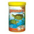 Gammarus Aquapex