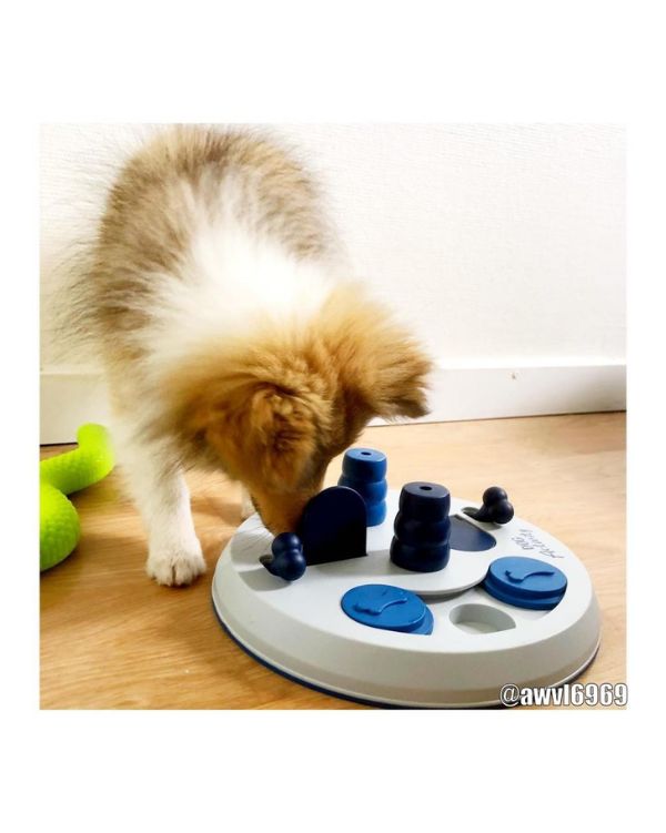 Jogo Flip Board (1)