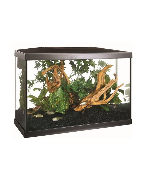 Kit Aquario Marina 75 Litros