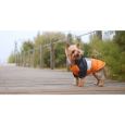 ORANGE& Black Anorak Dashi 4