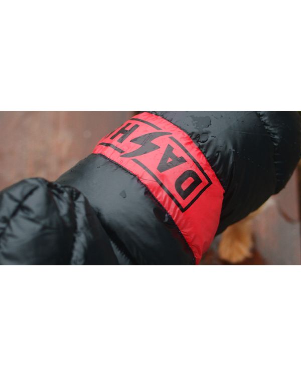 ORANGE& Black Anorak Dashi 4 (2)
