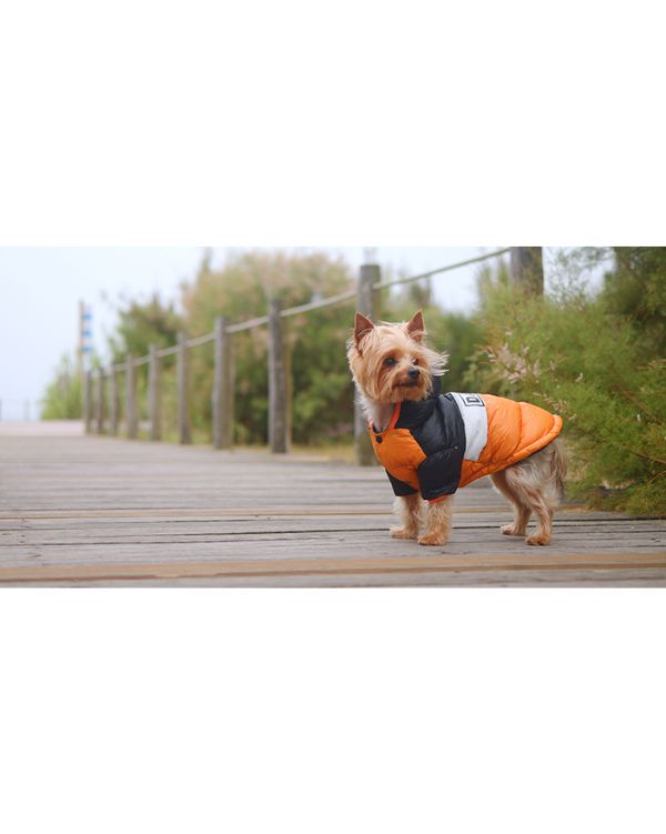 ORANGE& Black Anorak Dashi 4