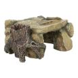 Plataforma Rochosa Com Tronco