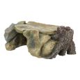 Plataforma Rochosa Com Tronco 2