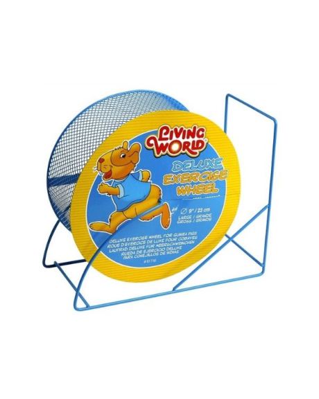 Roda de Exercicios Metal Living World grande
