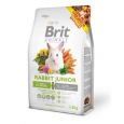 Brit Animals Rabbit junior