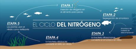 ETAPA C2