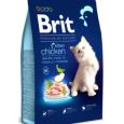Brit Blue Nature kitten