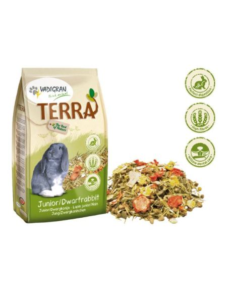 alimento para coelhos anões terra
