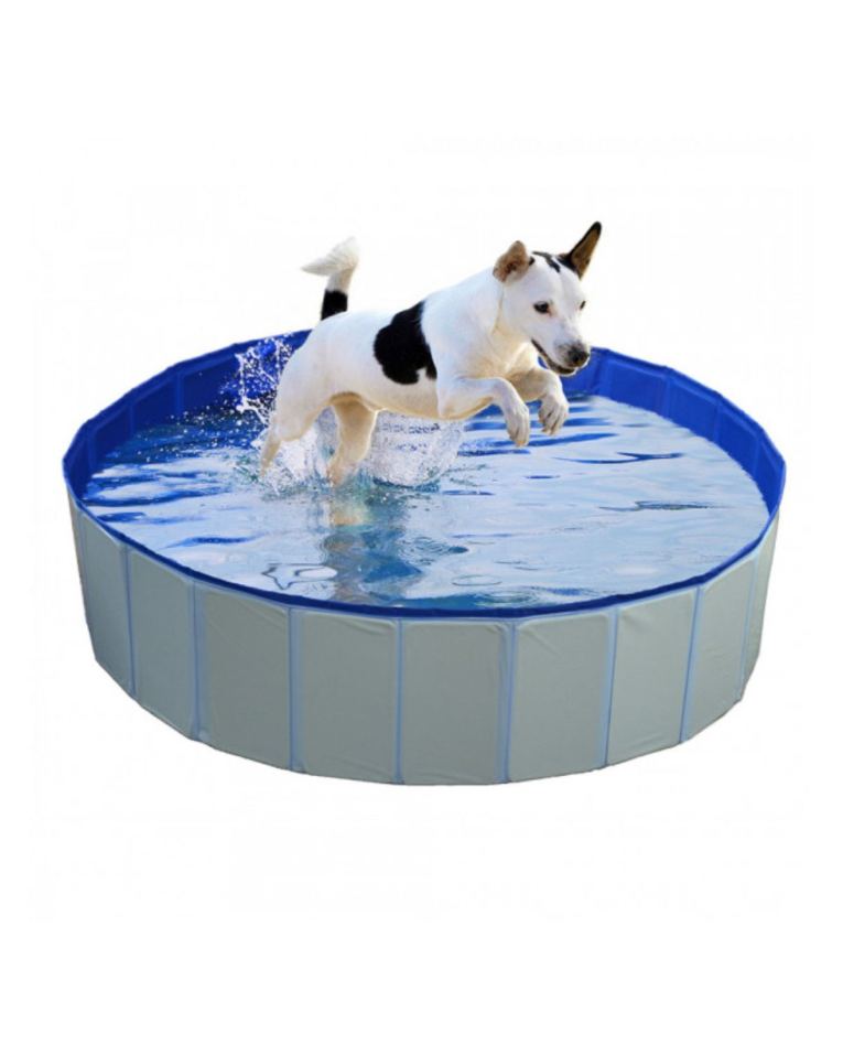 Piscina Para Cão Duvo +