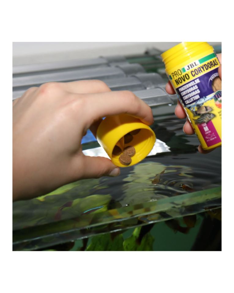 JBL ProNovo Corydoras Tabs M - 100 ml frasaco