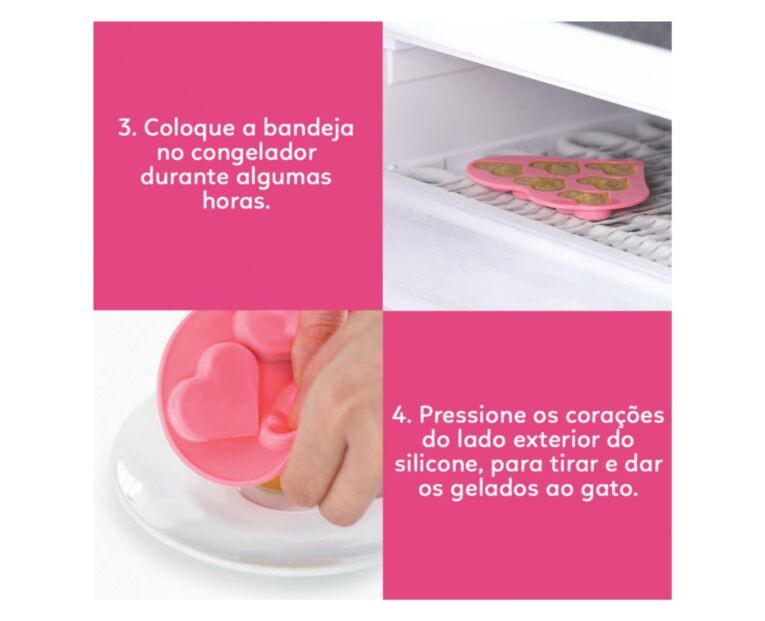 Molde para Gelado Catit 2