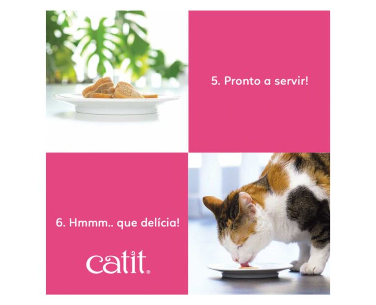 Molde para Gelado Catit 3