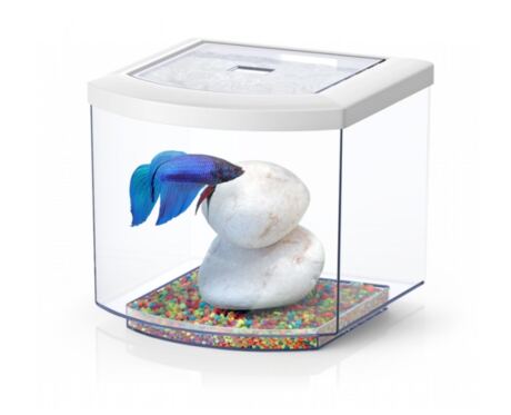 Aquario BettaCube branco