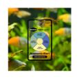 Seachem Ammonia Alert  é um dispositivo colorido inovador para detetar e monitorar continuamente amônia livre de tóxicos.
