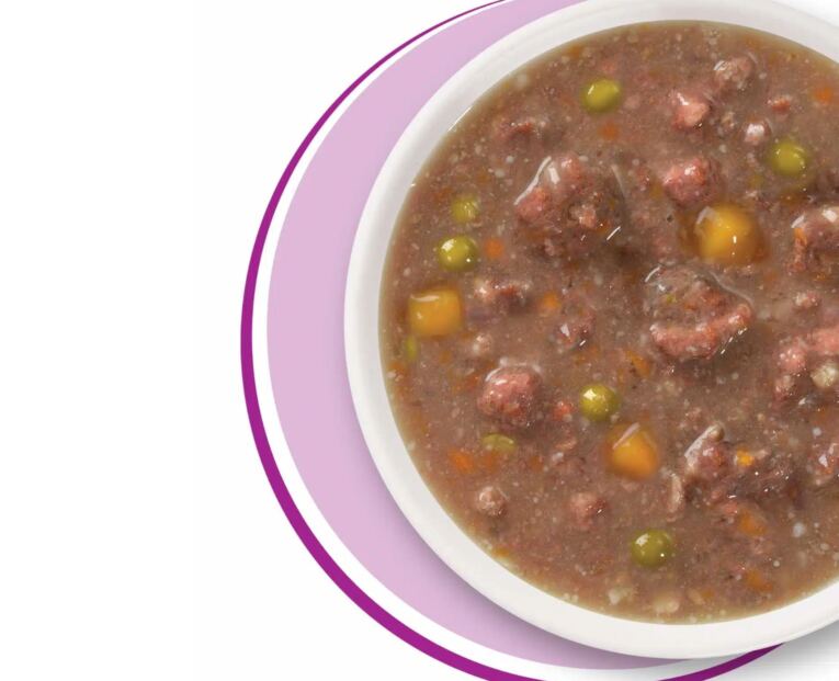 Catit Cuisine Guisado de carne de vaca com legumes