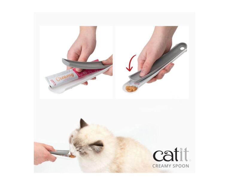 Colher para snack líquido gato-1