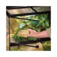 Kit Terrário Tiki Exo Terra porta