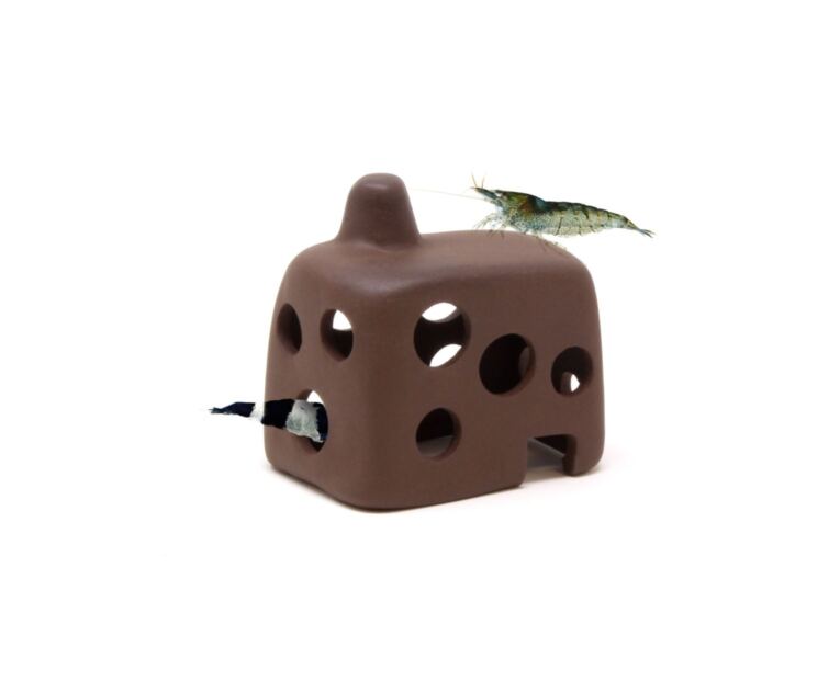 O Aquavitro Shrimp Hut é perfeito para camarões pequenos, peixes e outros animais procuram naturalmente o isolamento de vez em quando para aliviar o estresse e evitar a predação.