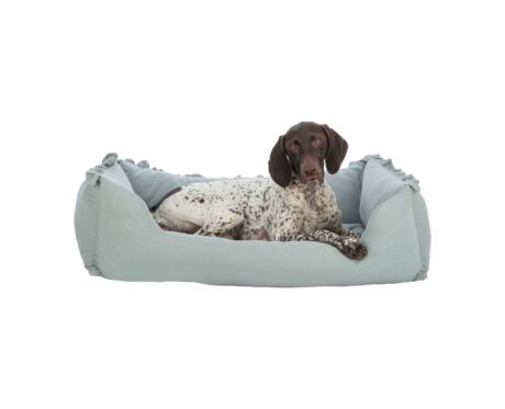 Cama Amelie é um acessório ideal para o descanso de cães.