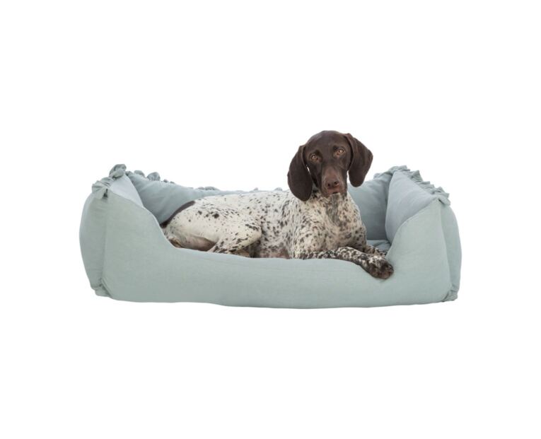 Cama Amelie é um acessório ideal para o descanso de cães.