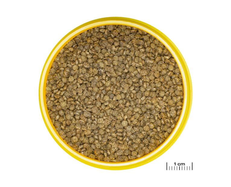 JBL ProNovo Gourami Grano