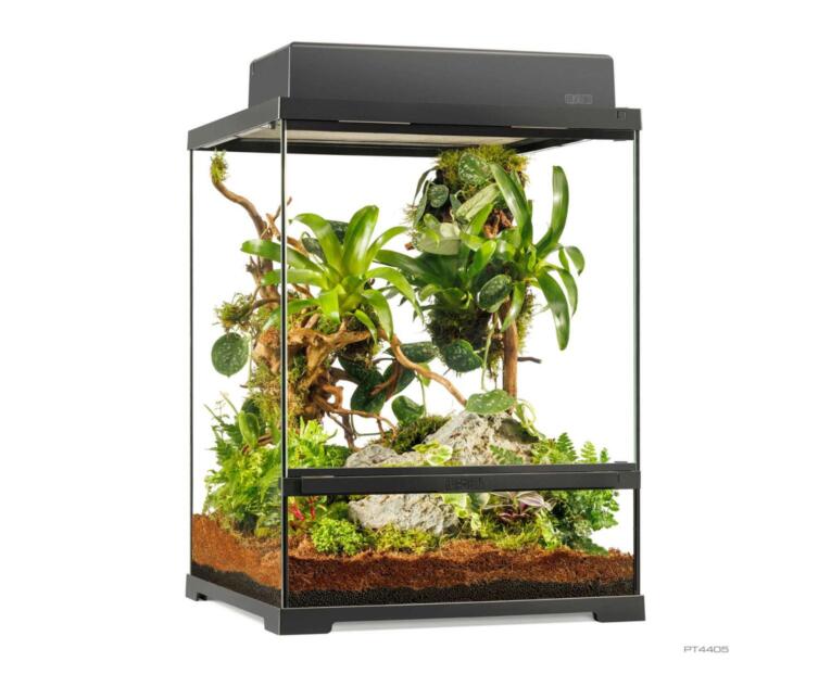 Pro Terrarium Small Tall Exo Terra 45×45×60 cm –