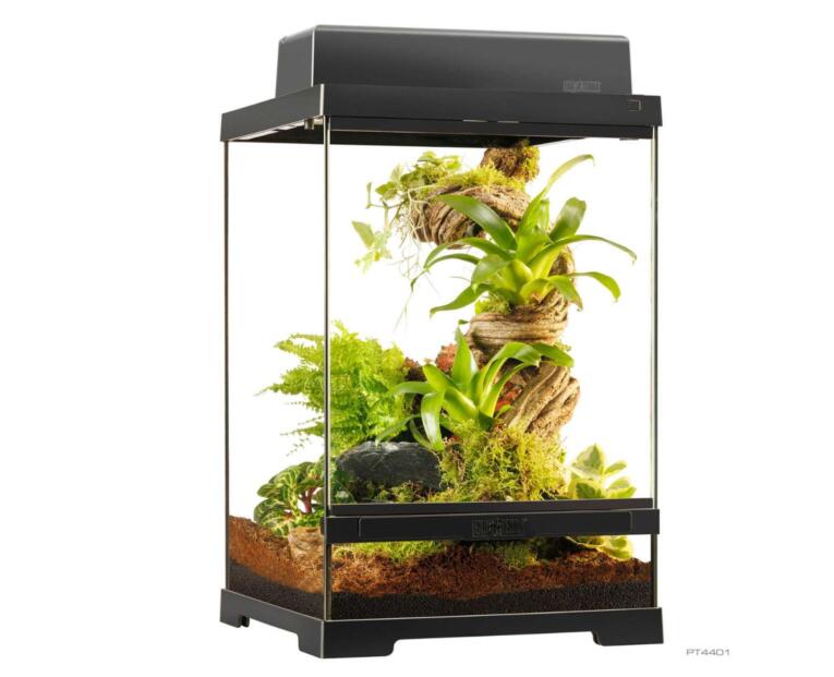 terrario-exo-terra-30x30x45-cm-x-small-tall-luz