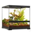 terrário Exo Terra 45×45×45 para répteis